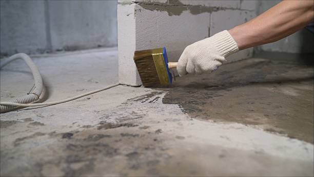 SJ Waterproofing Pros Sump Pump Installation coverage map for Pewamo, MI and surrounding area
